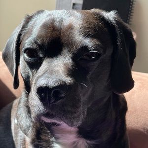 Meet your Posher, Jeff